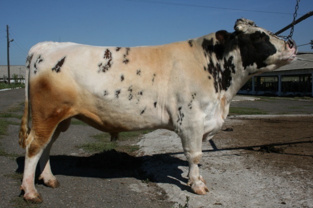 КЛИМАТ 2045 КСКП-160